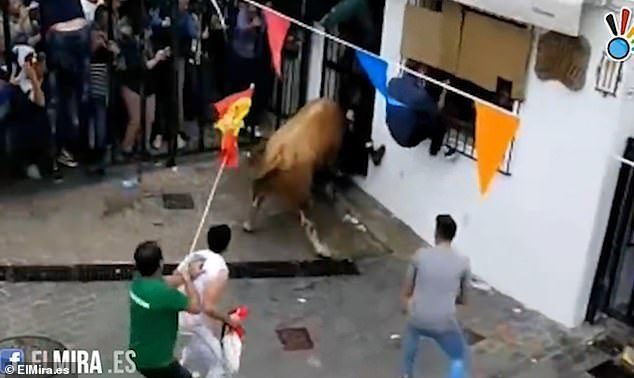 Espectador morre ao participar de festival de touros em Espanha