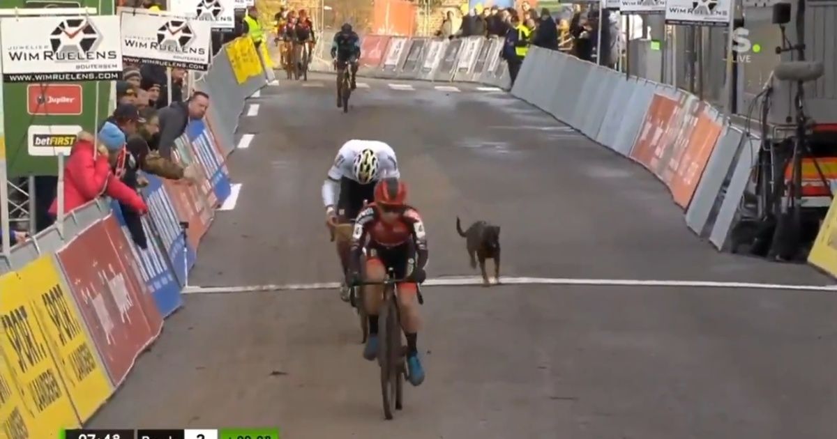 Cão foge do dono e invade prova de ciclismo
