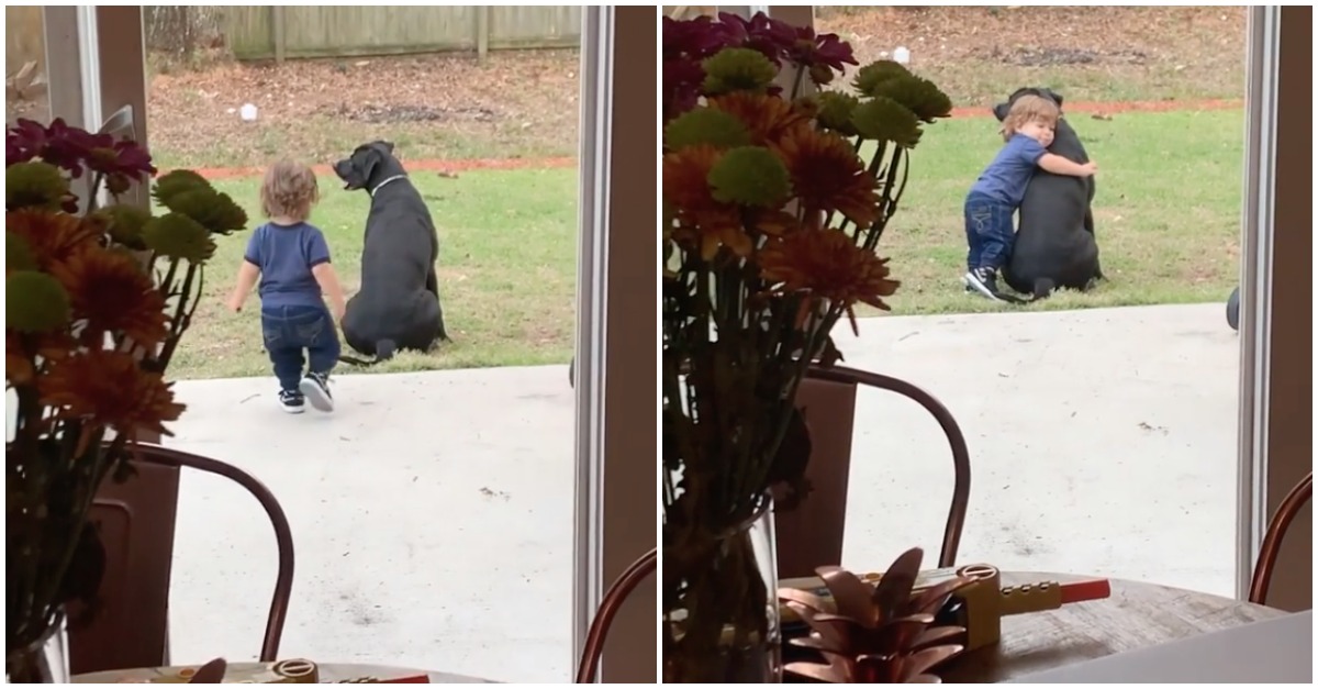 Menino sai de casa só para dar um ternurento abraço à sua cadela no jardim