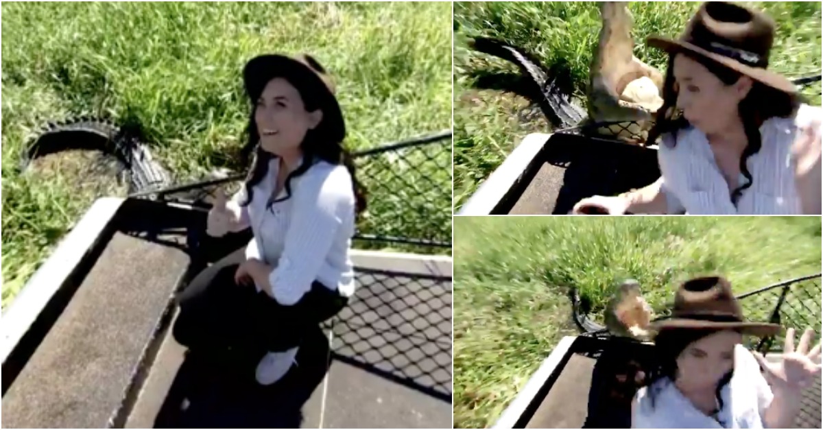 Jornalista posa para selfie com crocodilo e acaba por apanhar o susto da sua vida