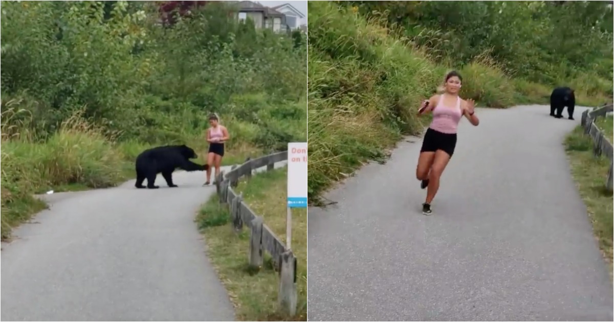 Urso dá palmada de motivação a mulher que corria num parque
