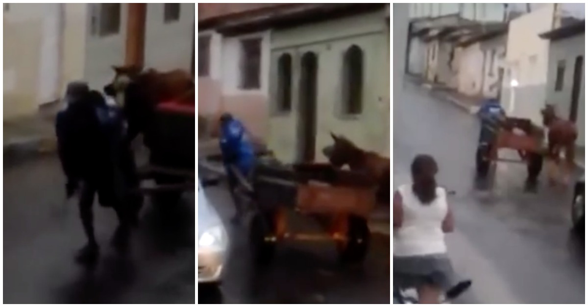 Polícia obriga homem a puxar carroça após vê-lo a maltratar o cavalo