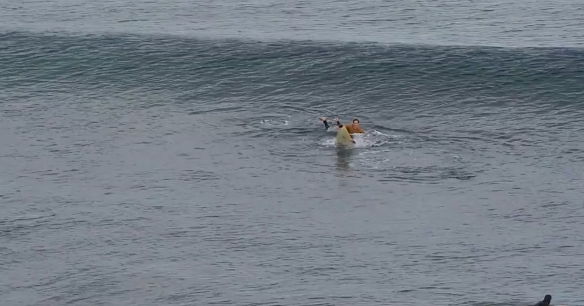 Surfista é atacado por tubarão, dá socos no animal e consegue escapar