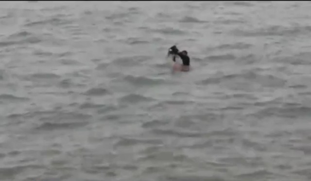 Policia usa prancha de surf para resgatar tartaruga presa em rede de pesca