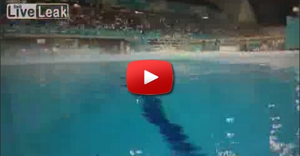 Jogos olimpicos: mergulho com chapa