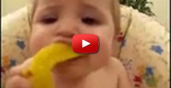 Bébés e a primeira experiência com limão