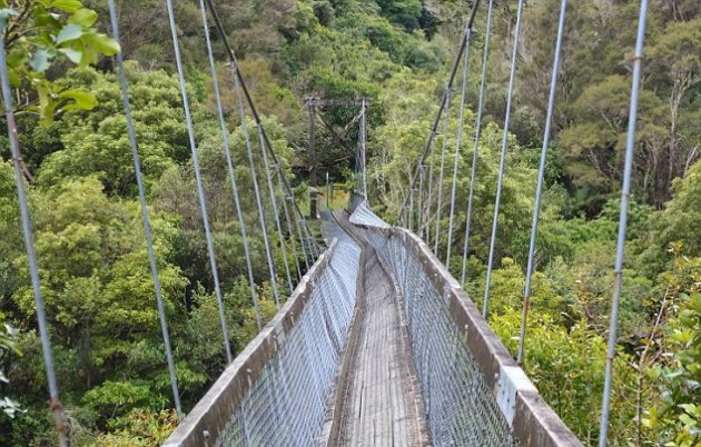 Ponte ‘parte’ e turistas caem ao rio na Nova Zelândia