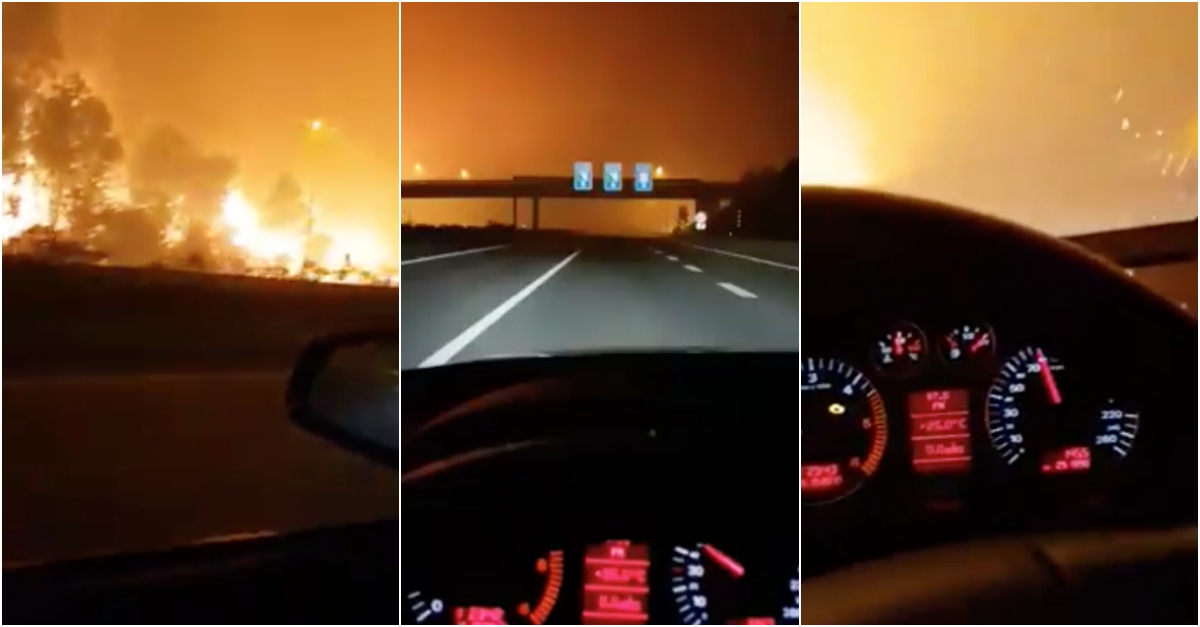 Vídeo mostra pânico de condutor ao fugir do incêndio na A17