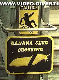 Placas Sinalização 5