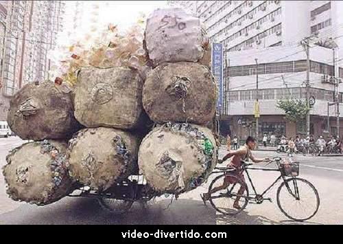 reciclagem