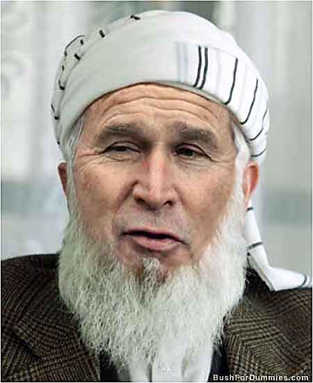 Bush Convertido