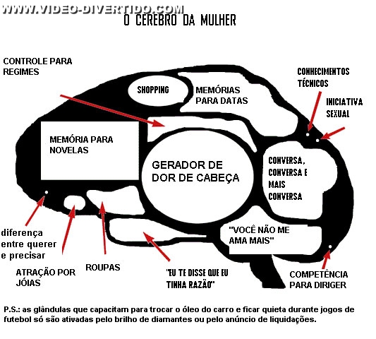 Cerebro da mulher