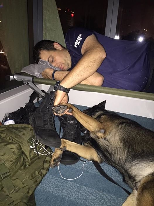 Furacão Irma: Polícia descansa do resgate de mão dada com o seu parceiro de 4 patas