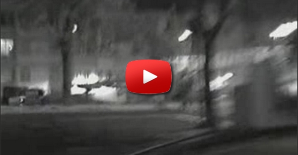 JackAss Tuga - o clip de Aviso
