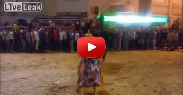 Mulher bêbeda enfrenta touro