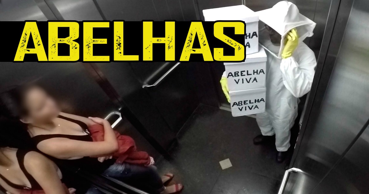 Apicultor deixa cair caixas de abelhas num elevador fechado… HILARIANTE!