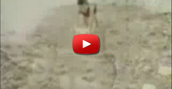 Acidentes na Praia