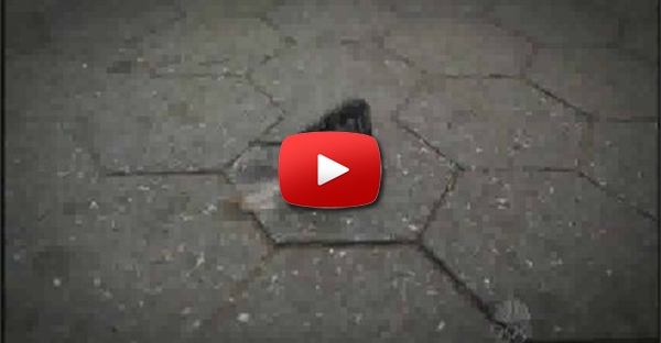 Throw it on the Ground