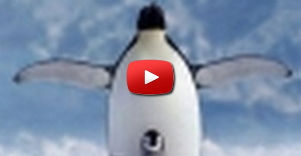 Pinguim