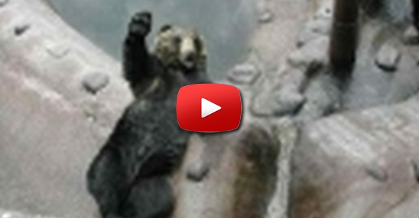 Urso