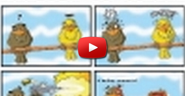 Gripe das Aves