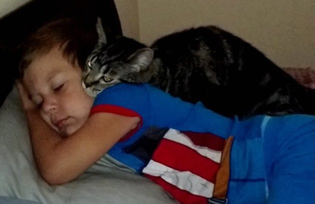 Um menino voltou das férias: A reação do gato lá de casa foi maravilhosa!