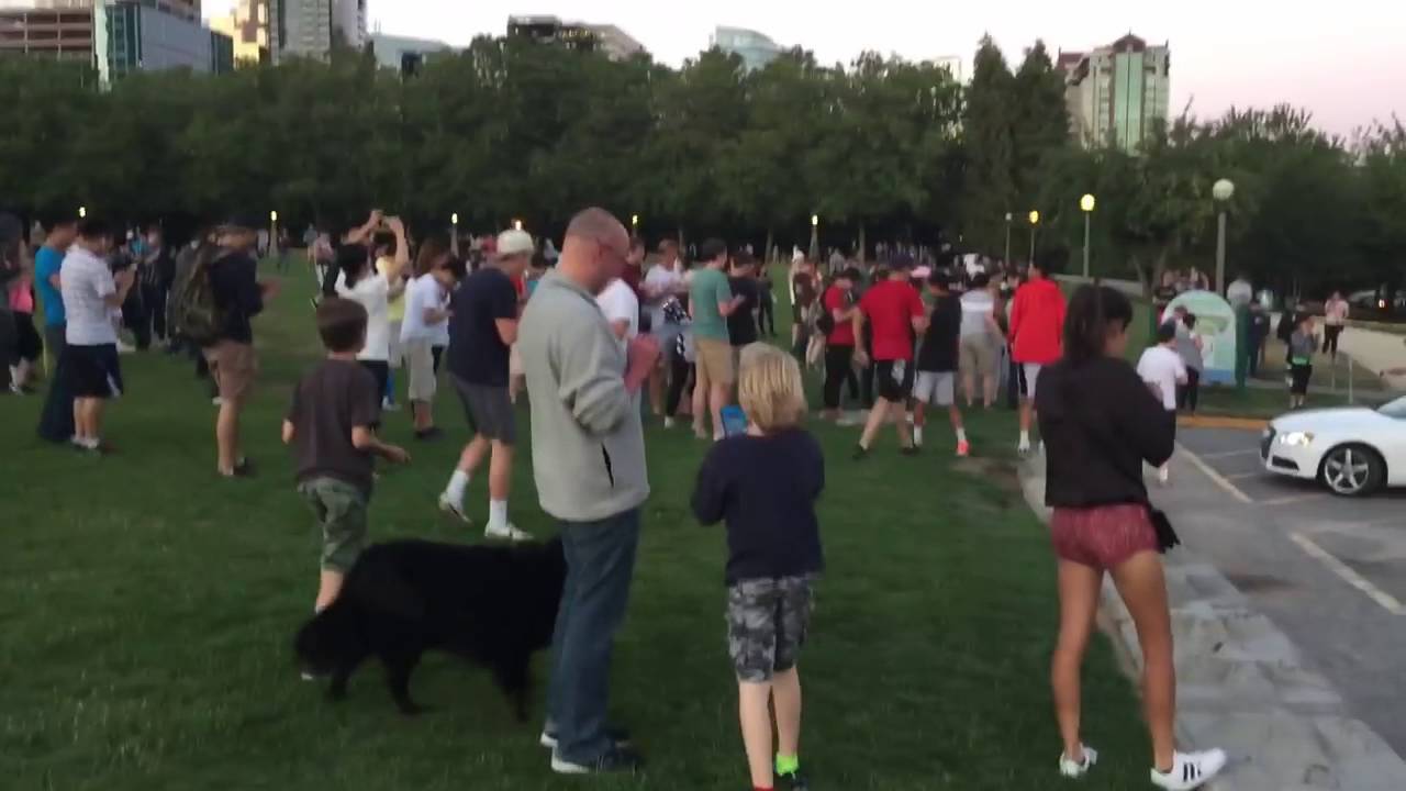Quando um Pokémon raro aparece num parque