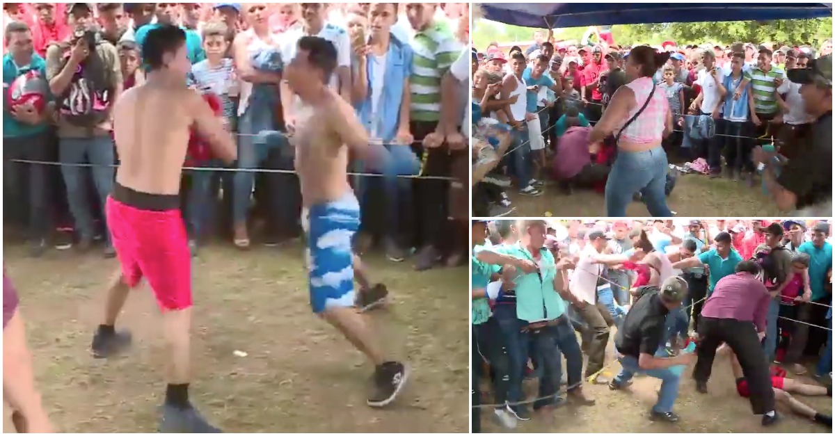 Mulher não lida bem com KO do marido em combate e parte para cima do adversário