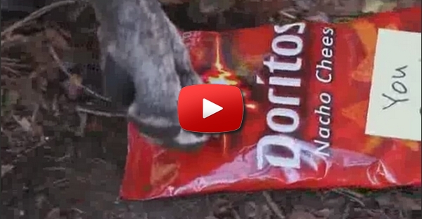 Anuncio Doritos