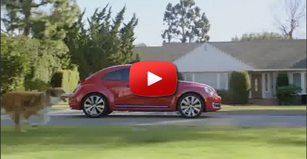 O cão ataca de novo - Volkswagen