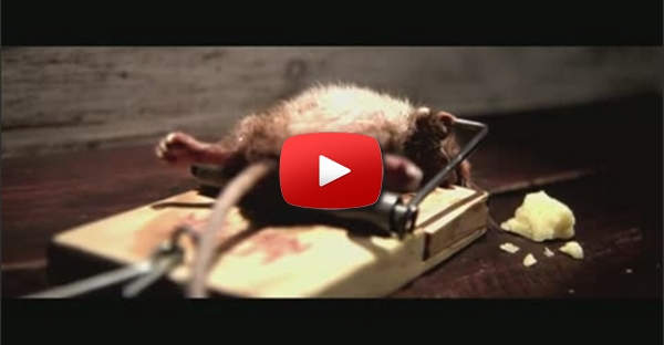 super rato