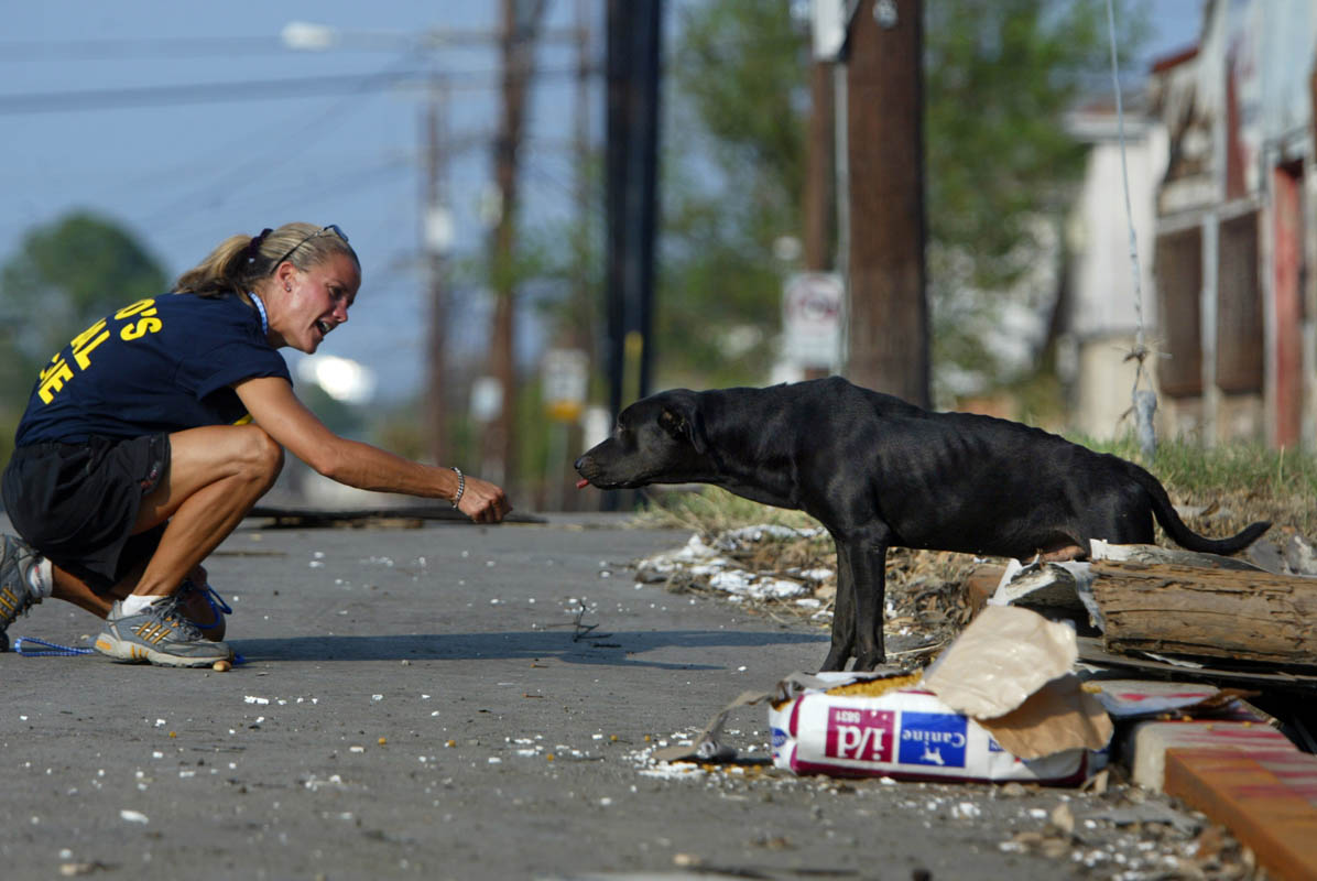 Pessoas que arriscam a sua vida para salvar animais