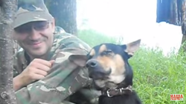 O cão mais sonolento do universo