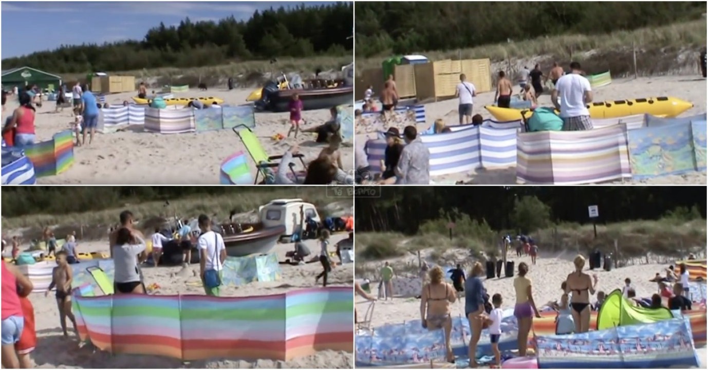 Javali invade praia e causa pânico entre banhistas... salve-se quem puder!