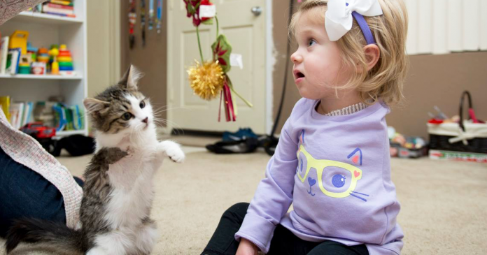 Menina sem um braço adopta gatinha sem uma pata