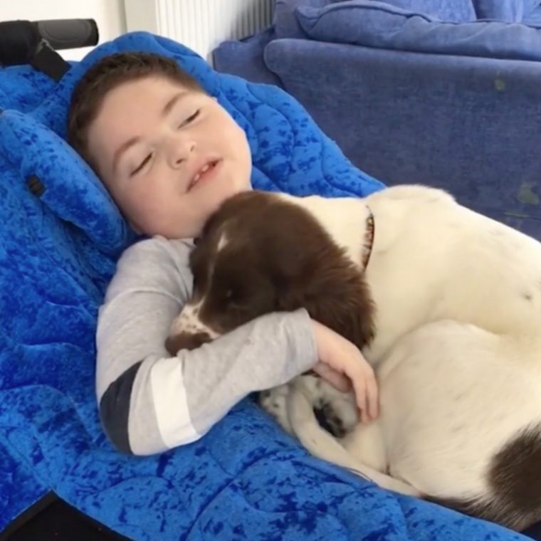 Cão torna-se o melhor amigo de menino com distúrbio genético raro