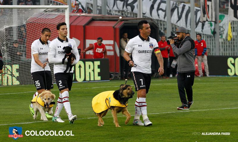 Ao Colo e pela trela. Uma entrada em campo criativa para apoiar o melhor amigo do homem!