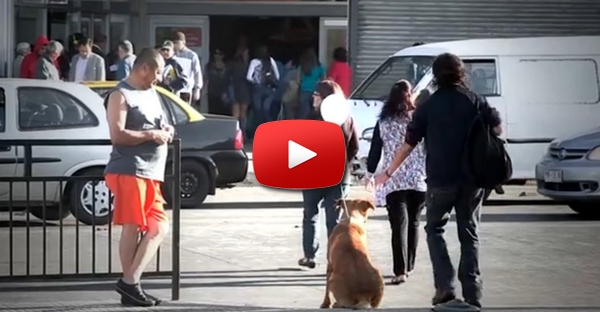Não abandone os animais: Crianças amarram balões a cães abandonados e chamam a atenção das pessoas