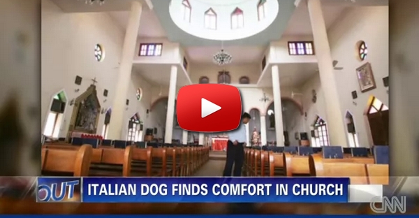 O motivo que leva este cão ir à missa vai partir o teu coração