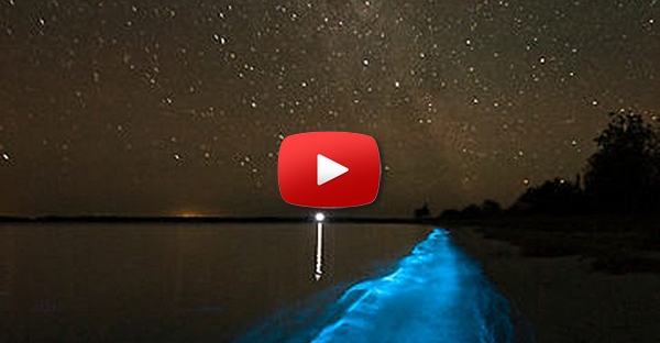 O que causa este espéctacular efeito nas praias?