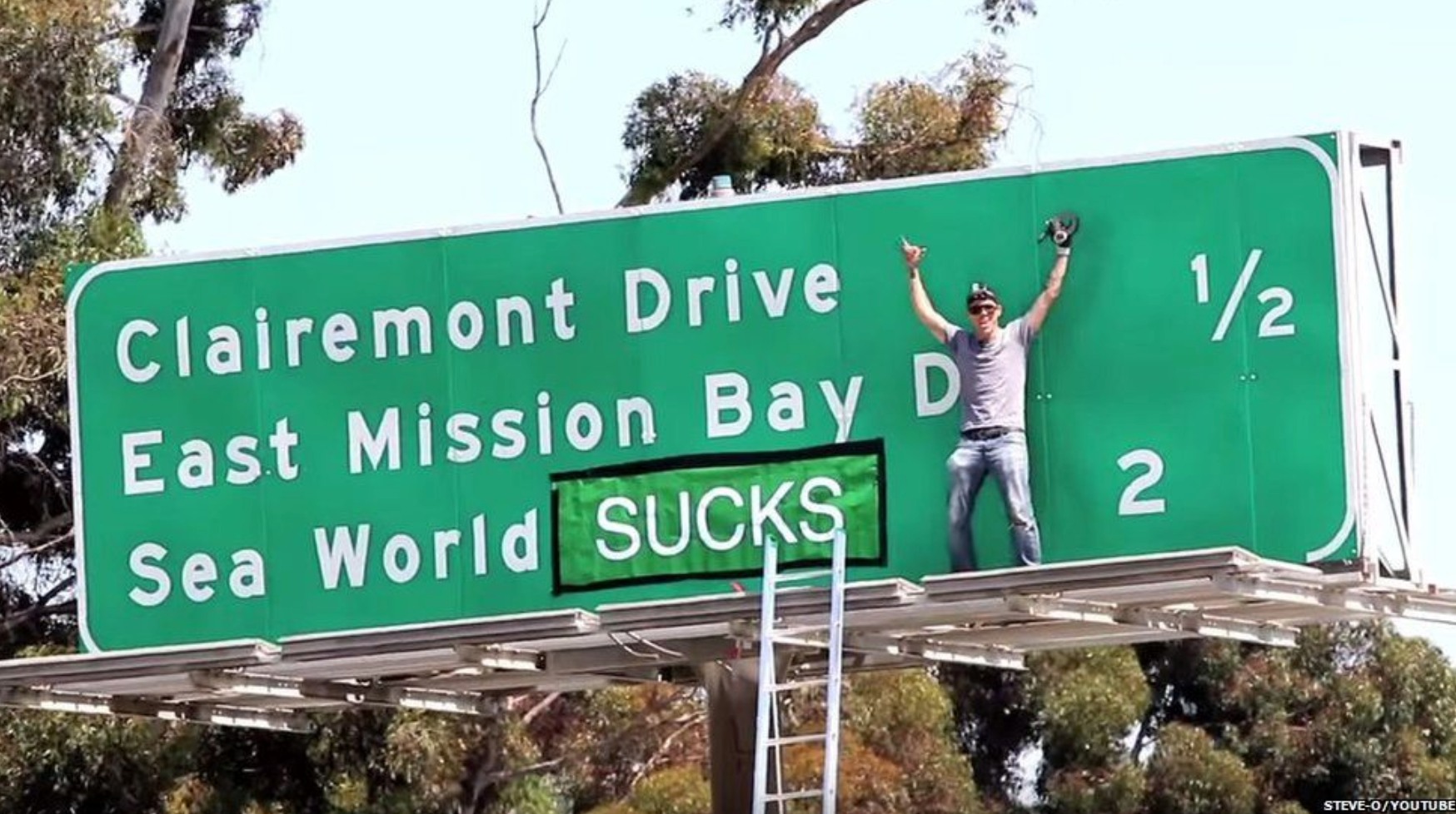 Estrela de Jackass partilha vídeo de protesto contra o SeaWorld