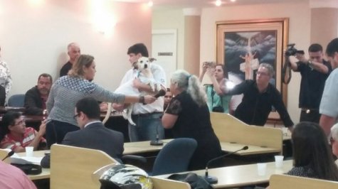 Cão espancado por idosa reconhece a dona em audiência
