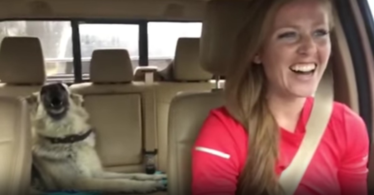 Cadela derrete a Internet ao cantar com a dona We Are The Champions dos Queen