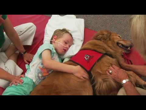 O estado deste menino era terrível, mas a recuperação com o seu novo amigo ajudou bastante!