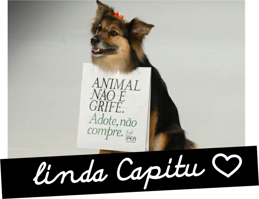 Passagens de modelos com animais, definitivamente un modelo a seguir!