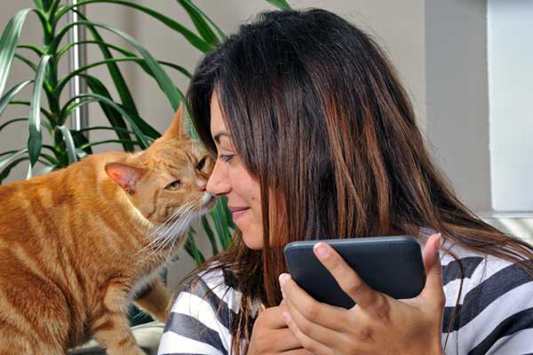 Sabias que o teu gato passa todo o dia a trabalhar para ti? Vê quais os seus trabalhos!