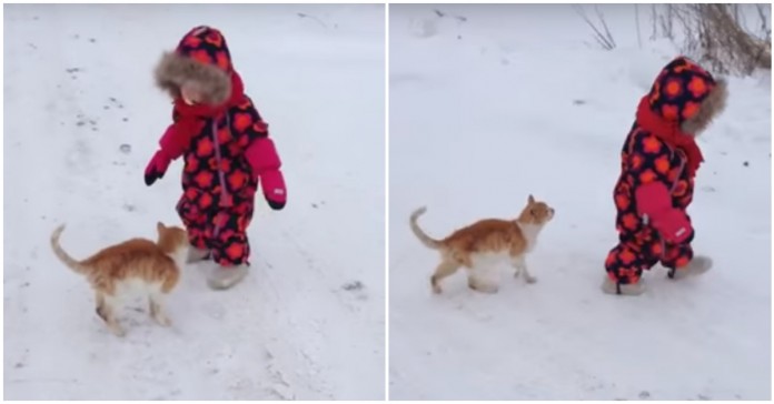 Gato faz o ataque mais fofo de sempre a um bebé