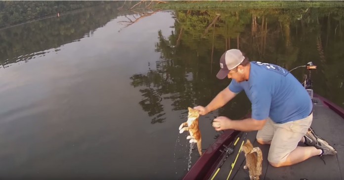 Foram à pesca e acabaram por pescar dois gatinhos abandonados