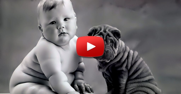 Gatos e Cachorros Conhecem Bebês Pela Primeira Vez!