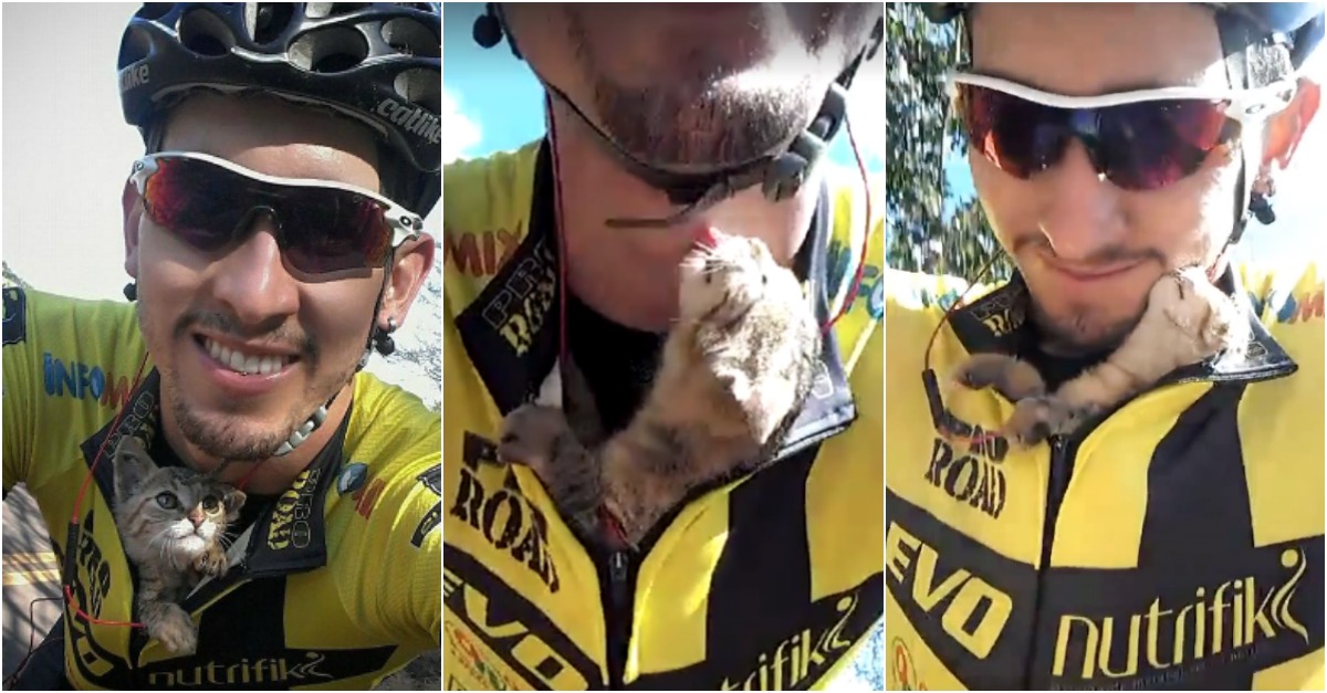 Ciclista salva gato bebé, coloca-o dentro da camisola e o felino não pára de o lamber!